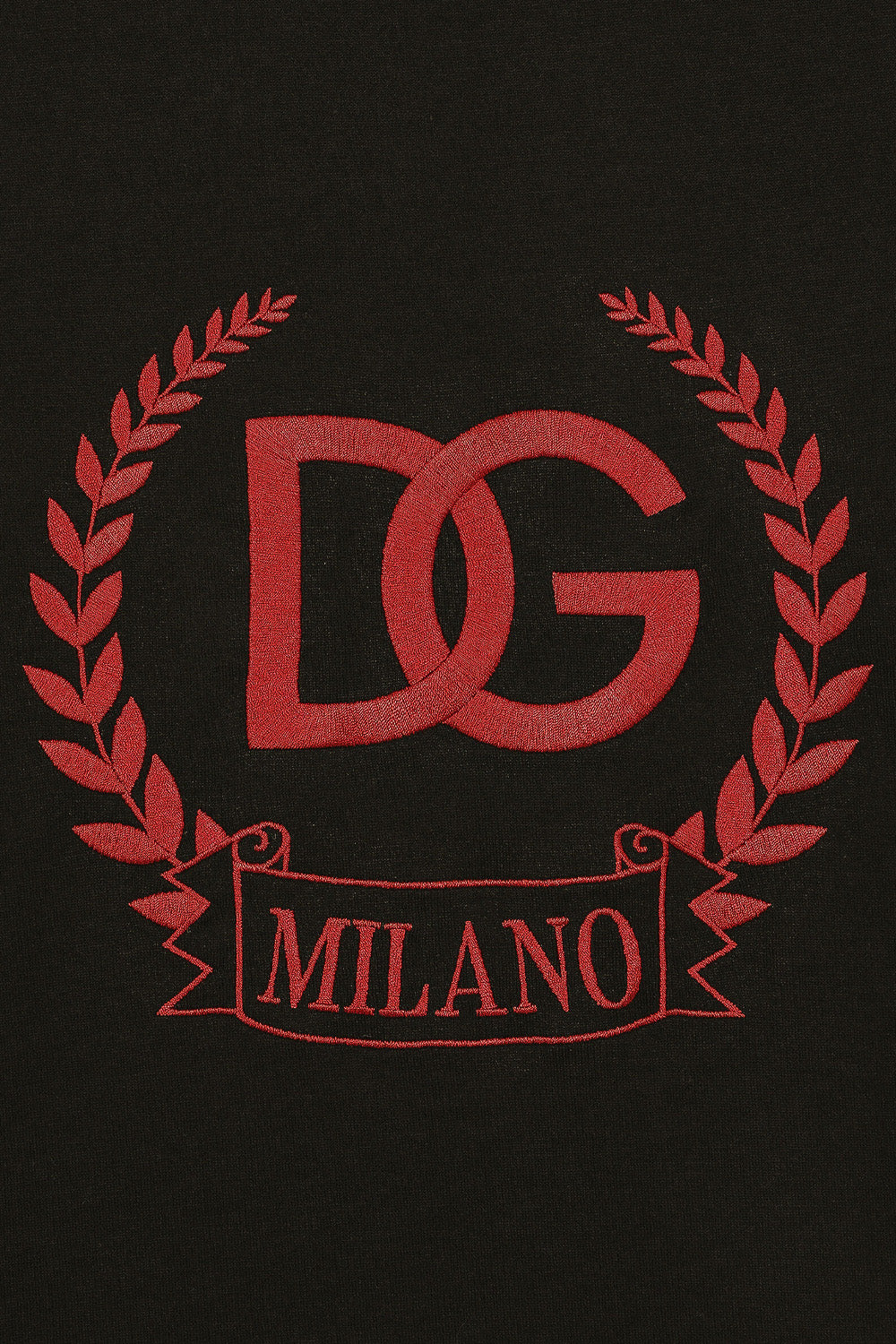 Dolce & Gabbana T-shirt logo
