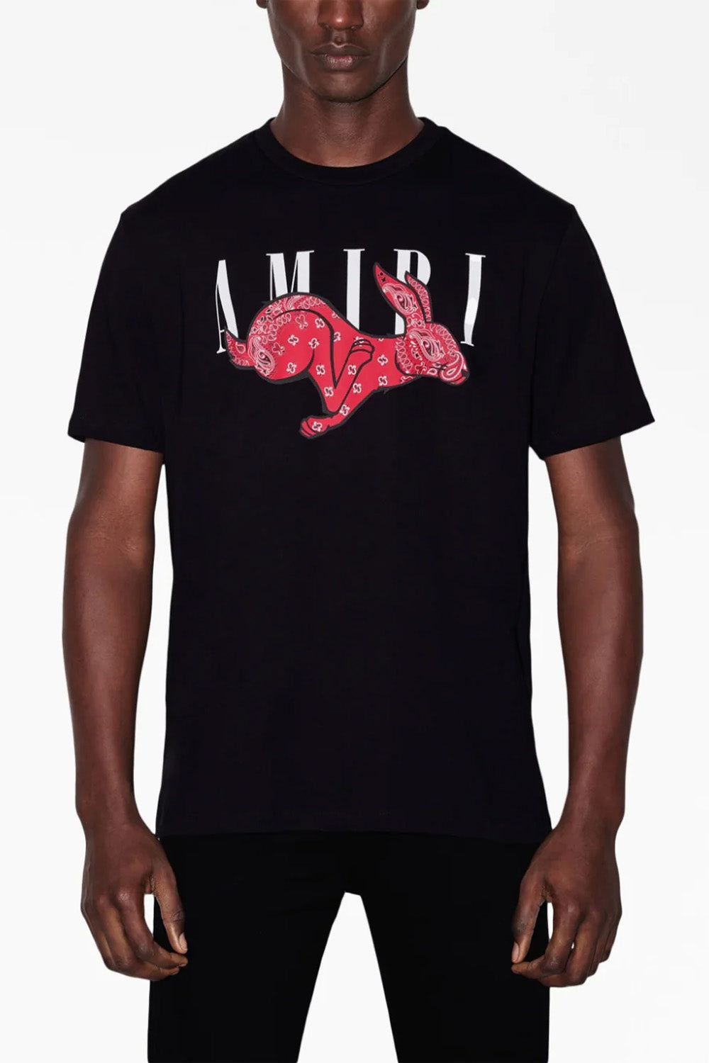 Amiri logo-print detail T-shirt