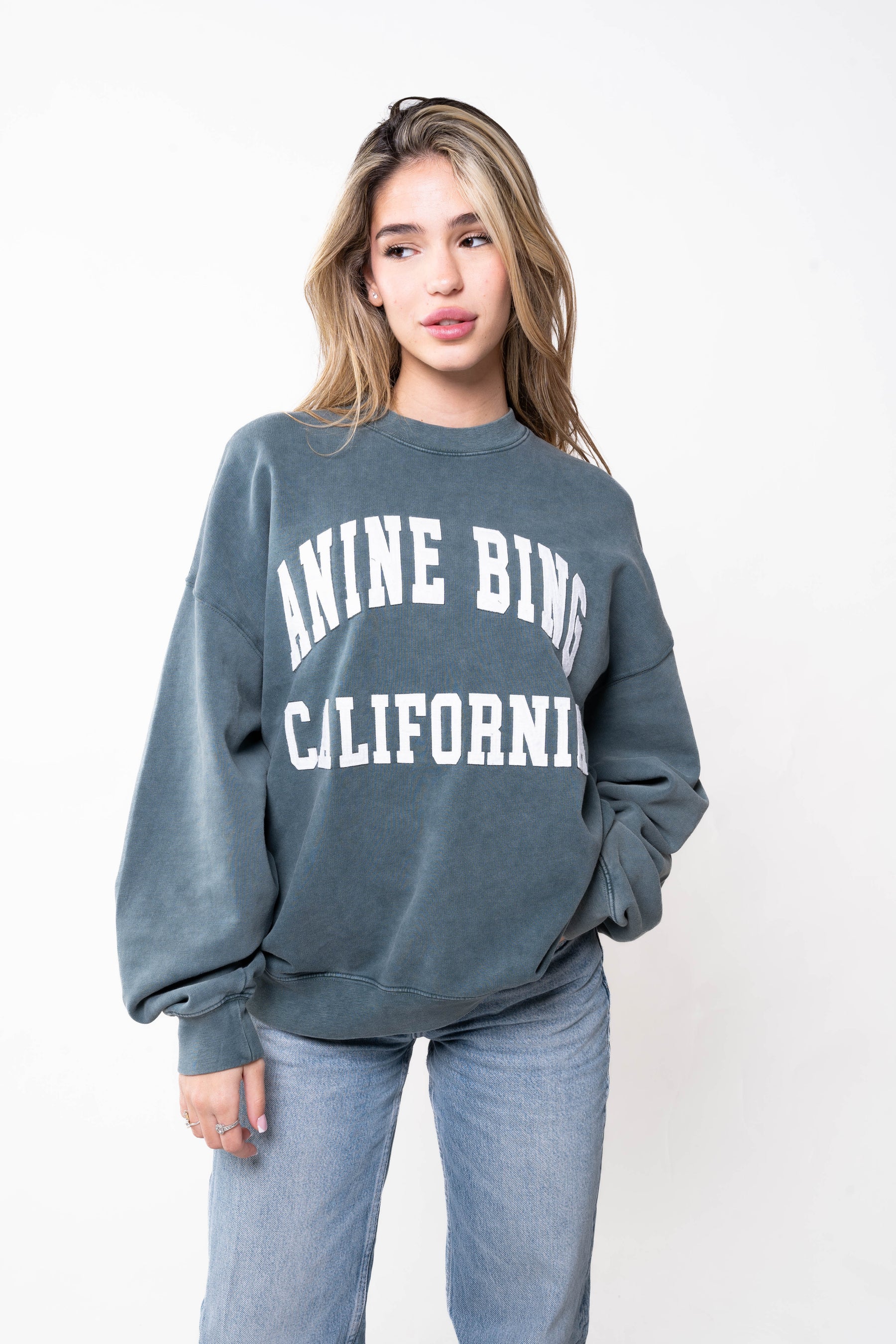 Anine Bing Sweatshirt