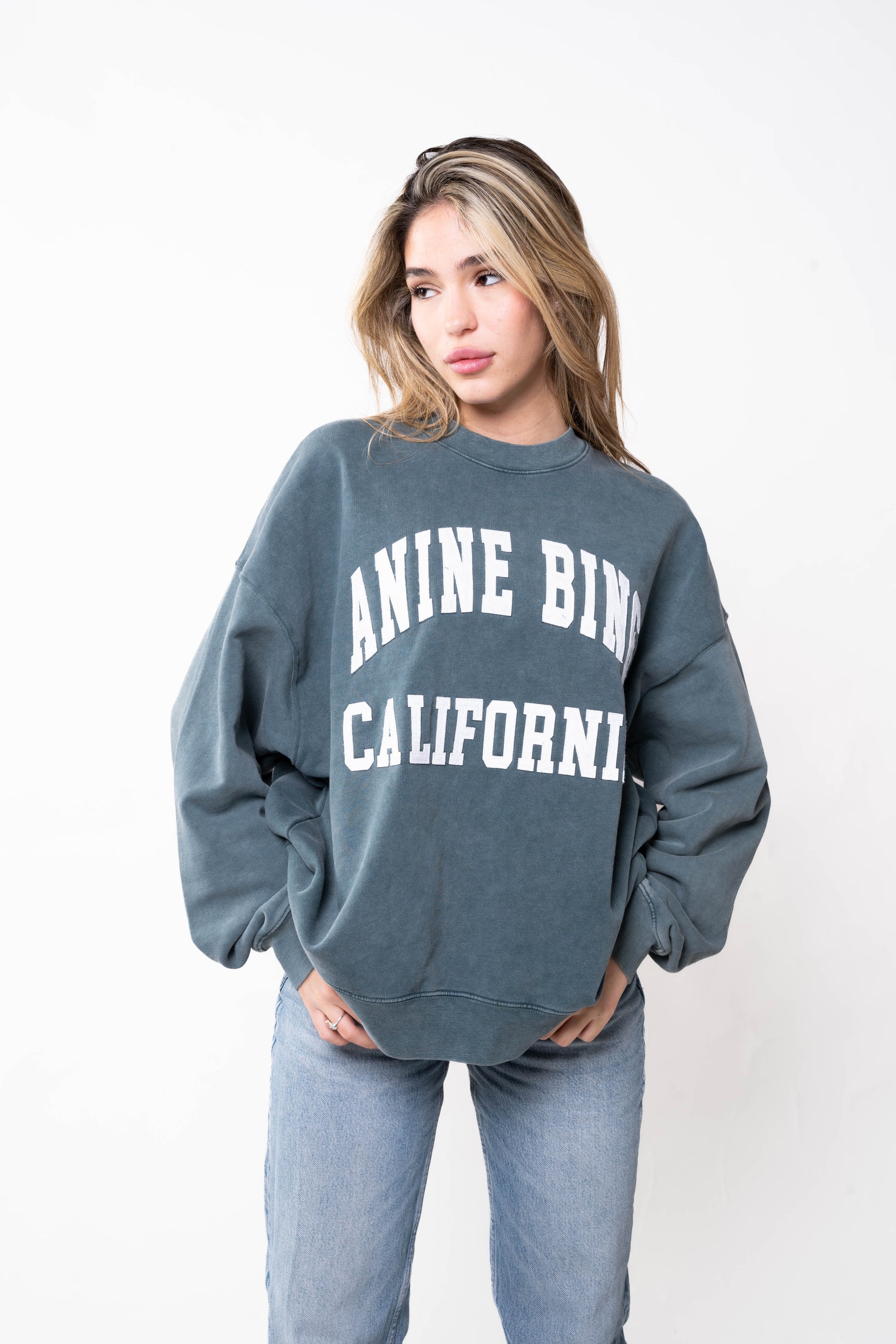 Anine Bing Sweatshirt