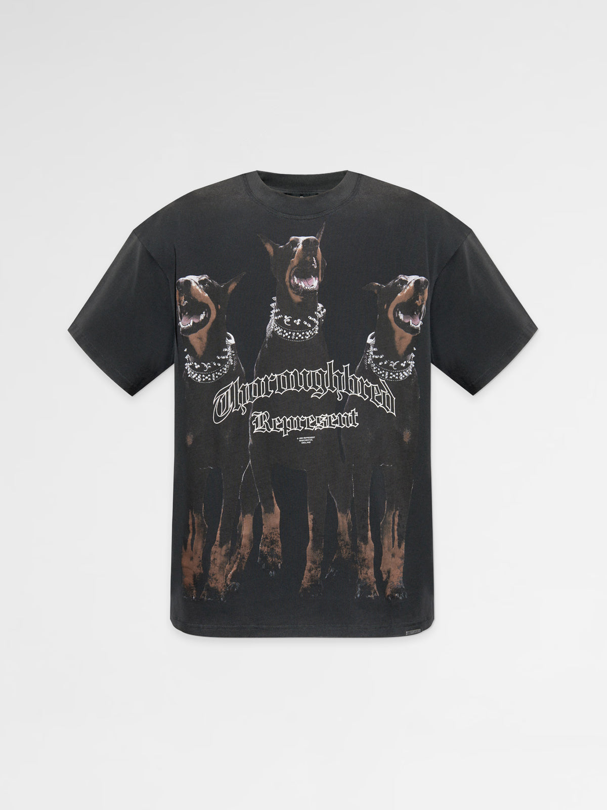 Represent T-Shirt