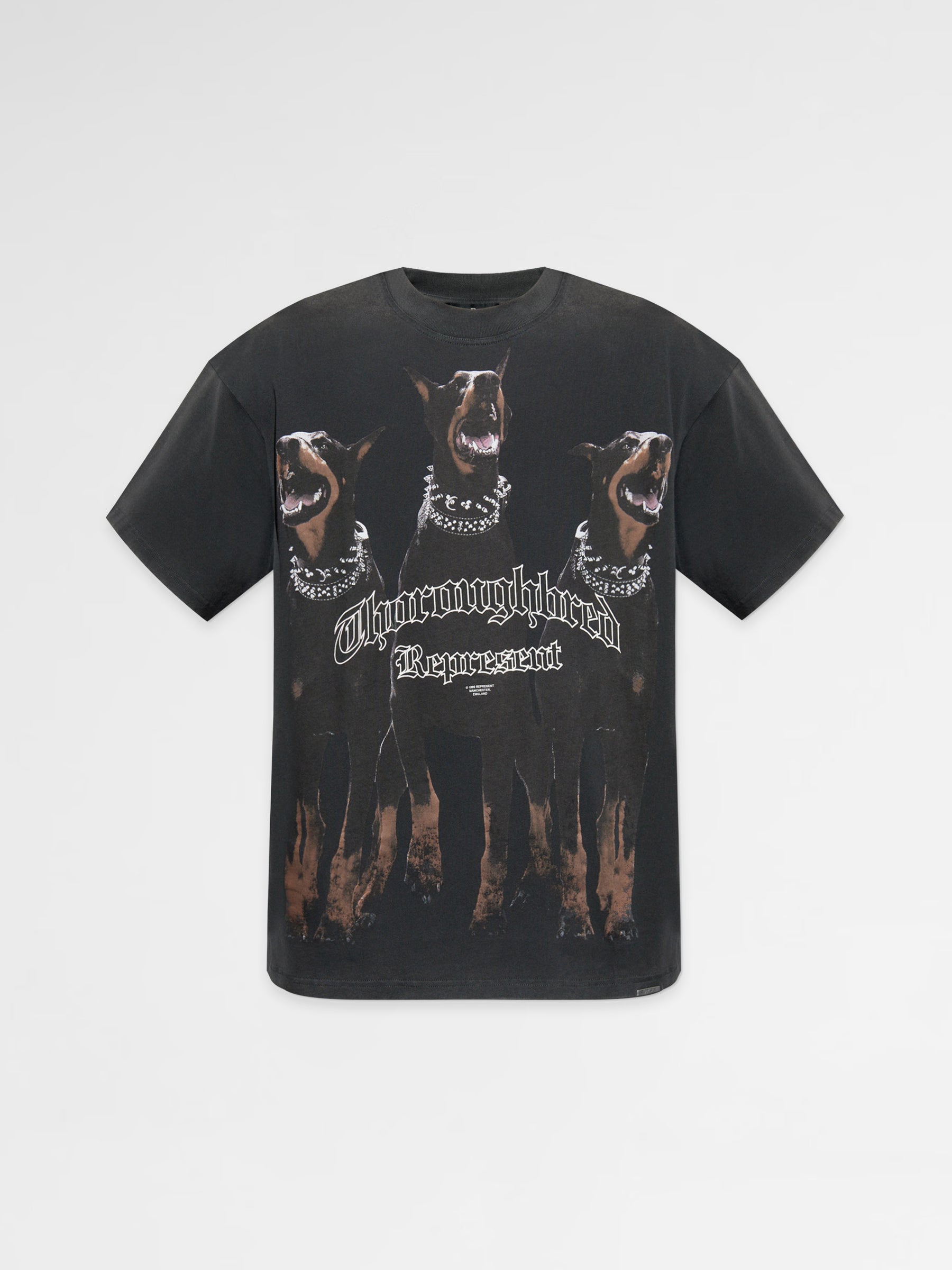 Represent T-Shirt