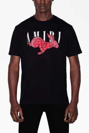 AMIRI logo-print detail T-shirt